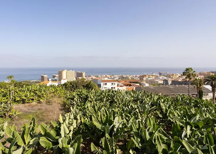 Ferienhaus Barreto By Interhome Puerto de la Cruz (Tenerife)