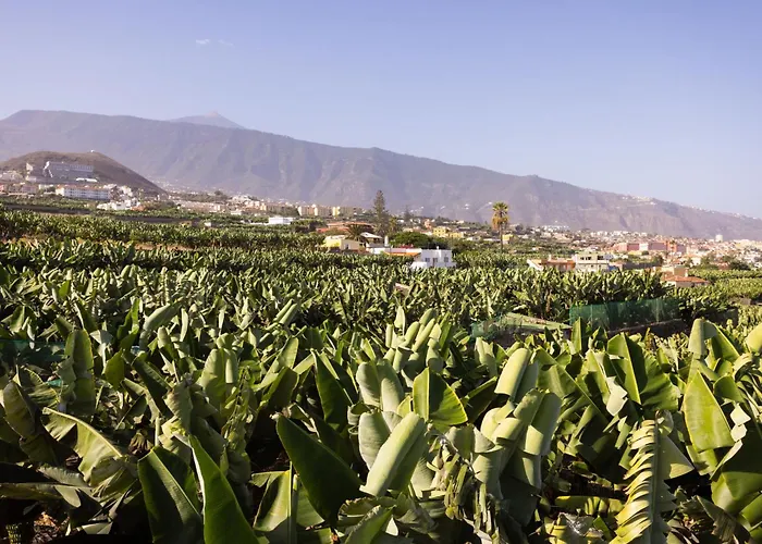 Barreto By Interhome